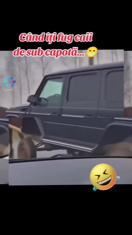 când îți fug caii de sub capotă...😁🤣🤣