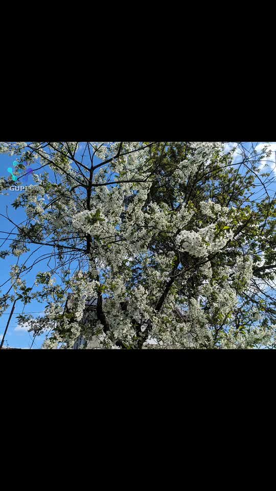 Natura mereu ne ia prin surprindere