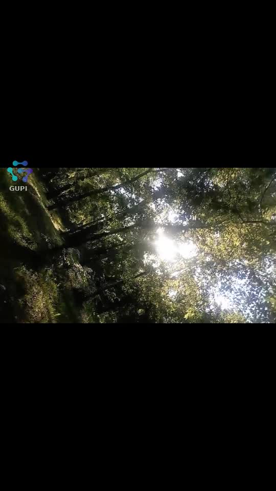 Original Sound - Silvia Elinescu