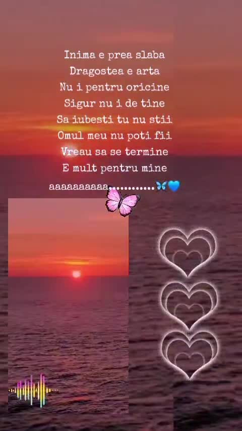 #🦋💙