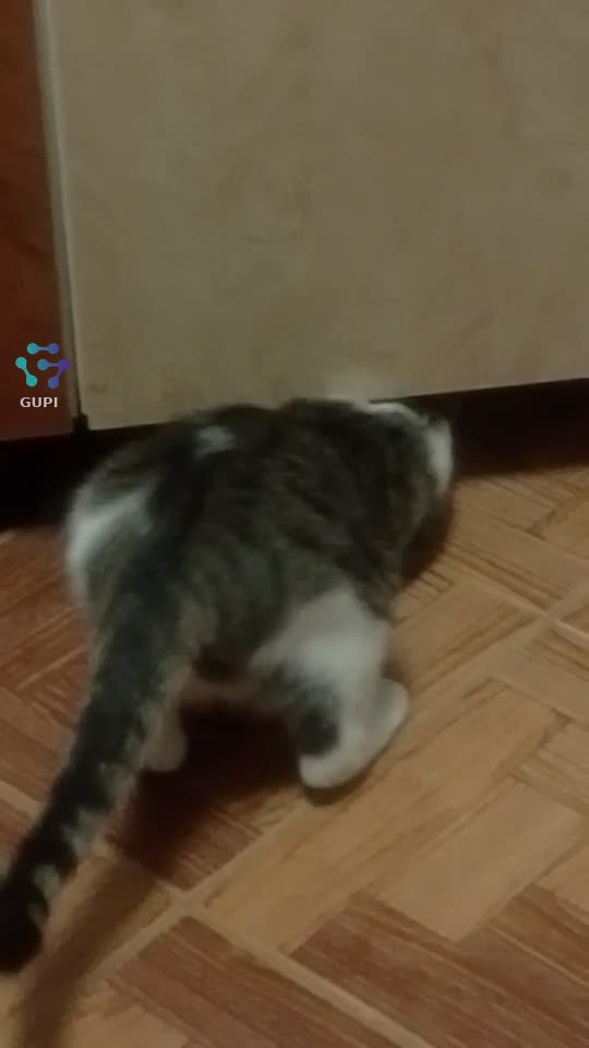 după șiricel😂