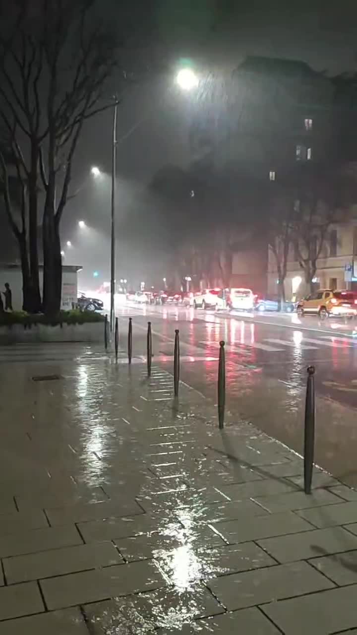 Primăvara capricioasă 🪲🐞🐝