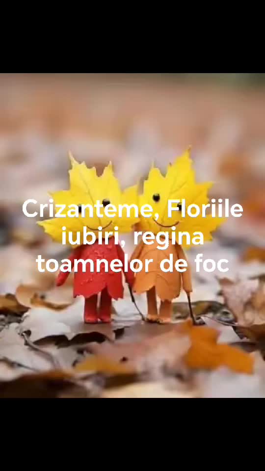 FLORILE IUBIRI