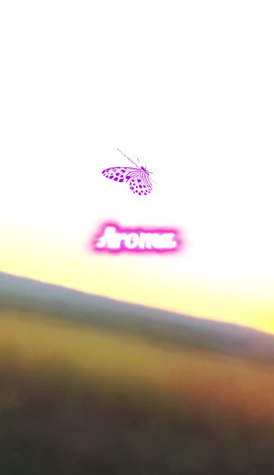 🦋 
 #❤️💙