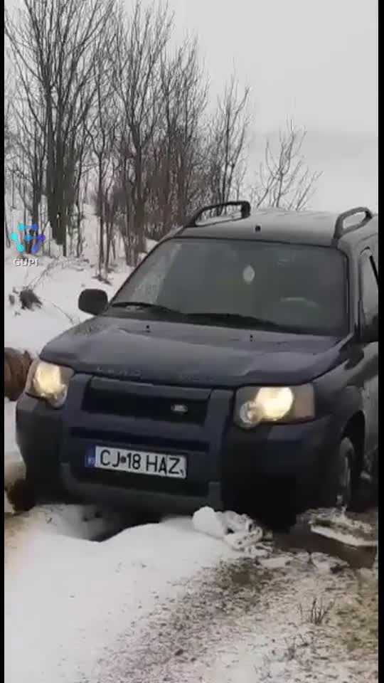Video de @gupiuser163243