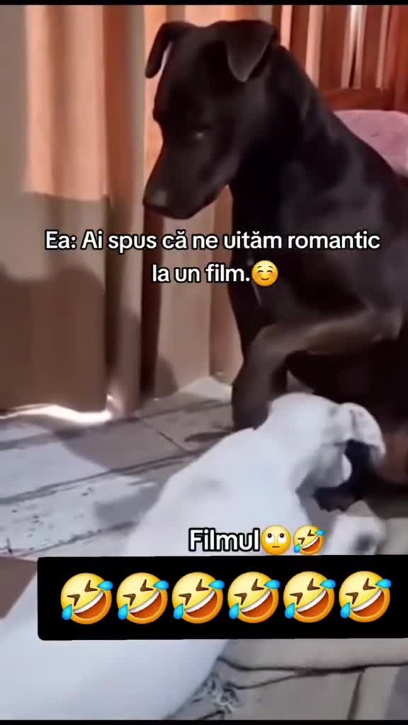 🤣🤣🤣