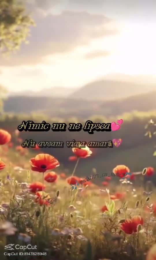 VARA NOASTRA