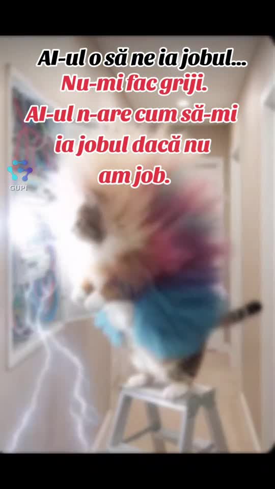 Video de @gupiuser144503