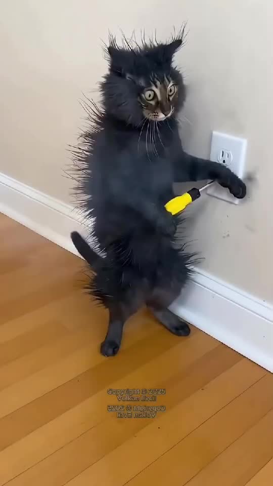 🤣🤣