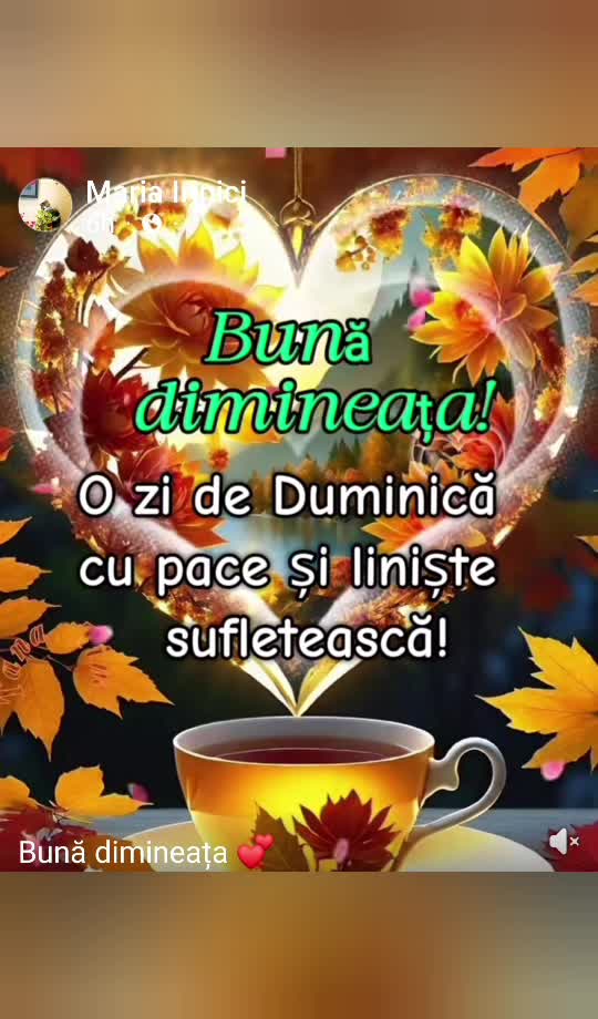 Bună dimineata!