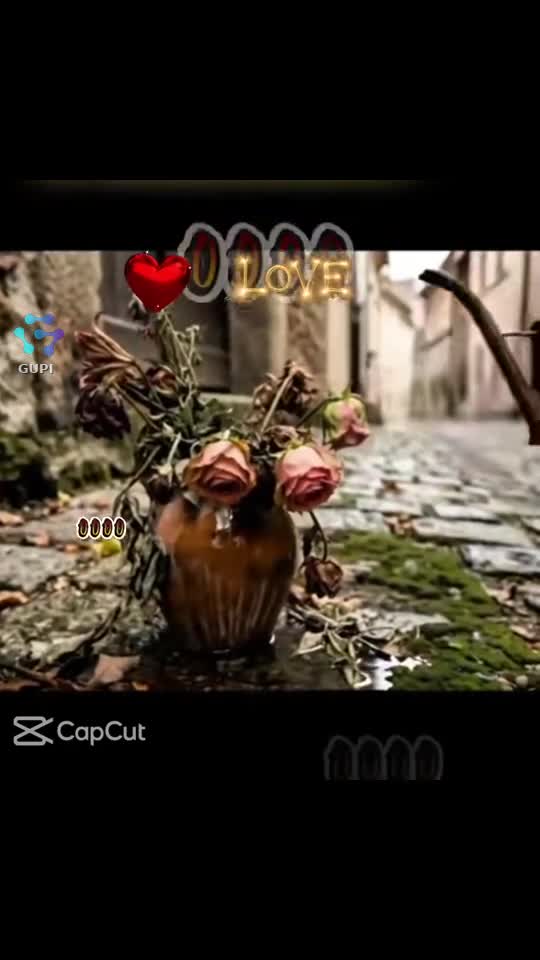 Video de @gupiuser231023