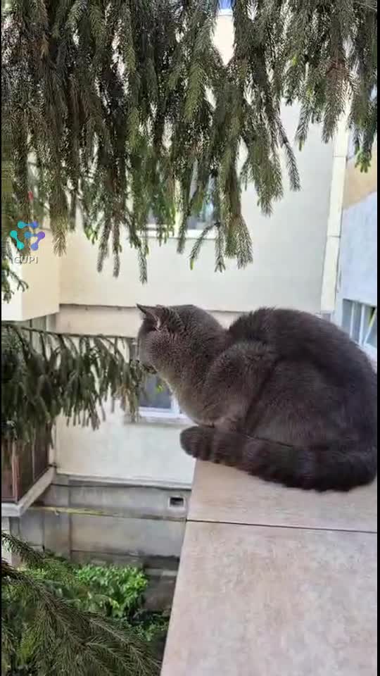 🤗🤗🤗🤗🤗🌹🍀love Pablo