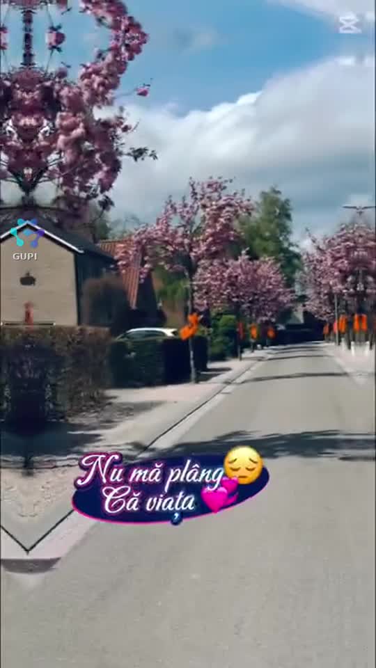 DNM.MUZICA super pise 4u|||{"overlays":[{"text":"DNM muzic🙏","x":0.359423828125,"y":0.748510991820041,"fontSize":19.925411278281743,"color":4294901760,"isEmoji":false},{"text":"Weekend 💃 plăcut","x":0.102099609375,"y":0.1706472073108385,"fontSize":18.354062497079582,"color":4294961979,"isEmoji":false},{"text":"❤","x":0.119921875,"y":0.19749808282208592,"fontSize":48.0,"color":4294967295,"isEmoji":true},{"text":"❤","x":0.543994140625,"y":0.1995949961656442,"fontSize":48.0,"color":4294967295,"isEmoji":true},{"text":"💥","x":0.320849609375,"y":0.20588573619631903,"fontSize":48.0,"color":4294967295,"isEmoji":true}]}