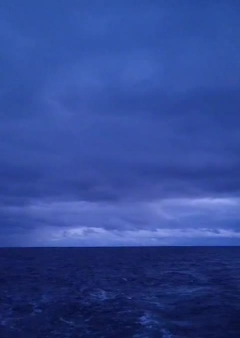 # 🦋  
🌊🚢 #💙