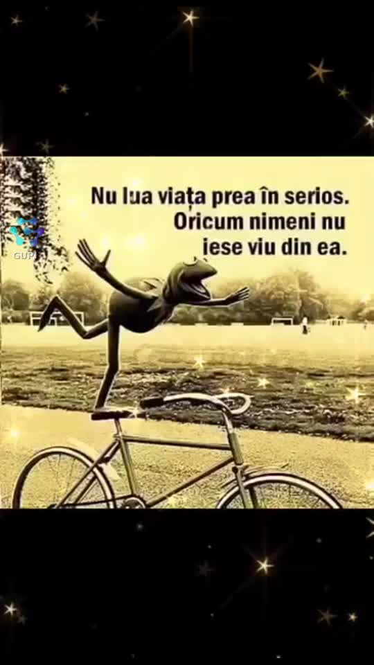 👍👋🎻
