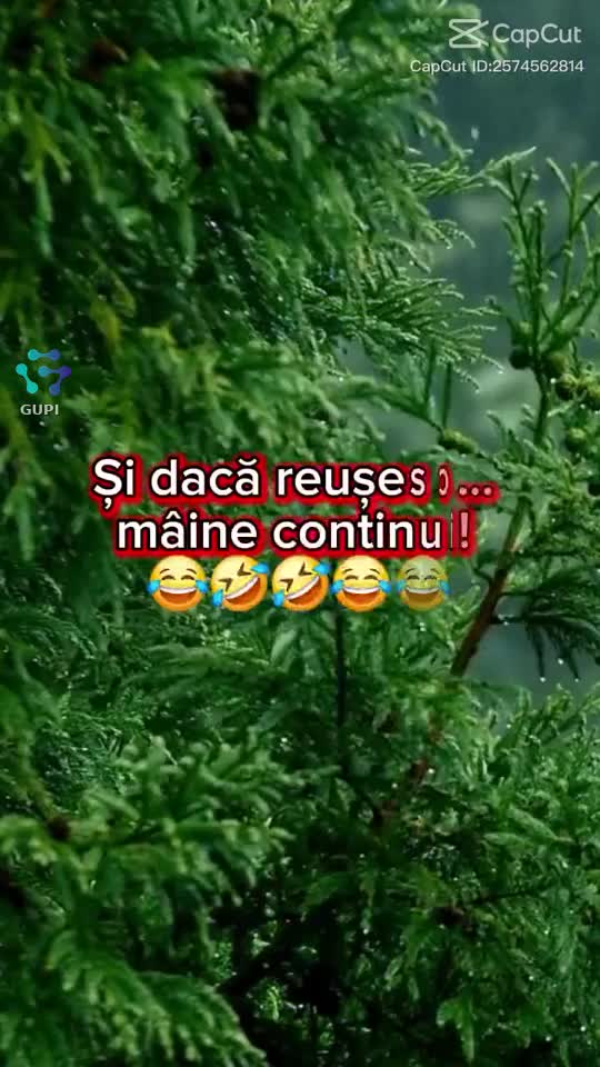 🤣🤣🤣🤪
