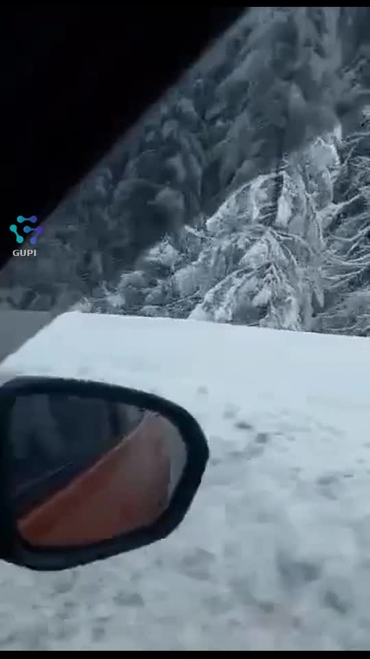 Cine vrea la zăpadă? 😁😁😁