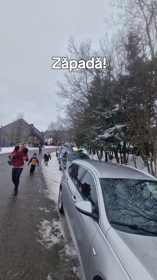 La zăpadă