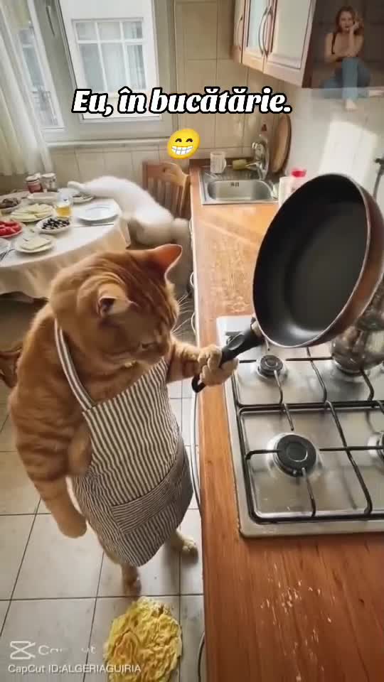 eu, în bucătărie.😁😜😁