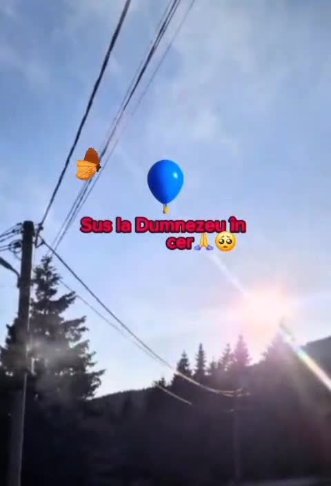 🦋 
 #❤️💙