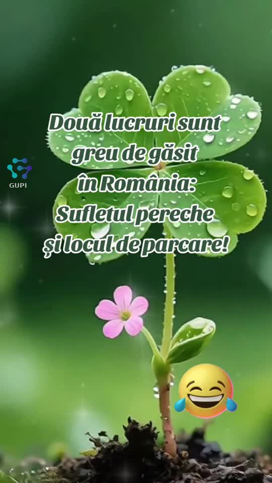 lucruri greu de găsit...😁😂😁