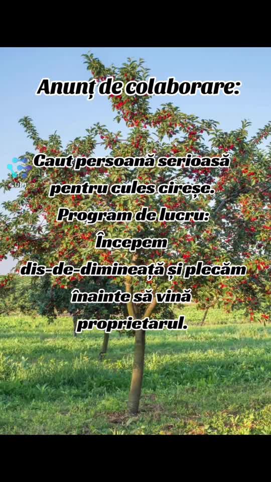 caut persoană serioasă...😁😁😁