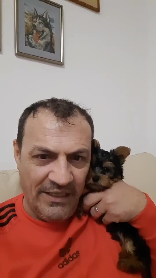 dă-ți follow înapoi vedetelor