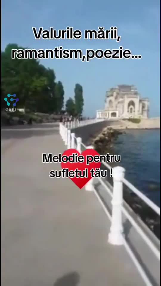 👍👋🎻