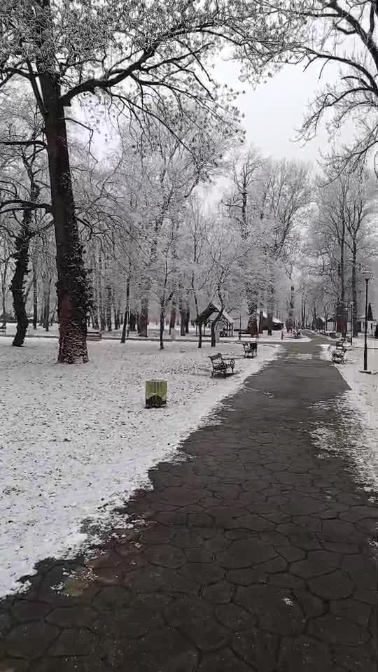 Timișoara Muzeul Satului🥰😘❤️