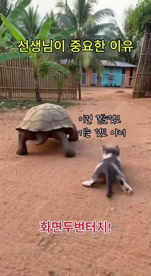 🤣