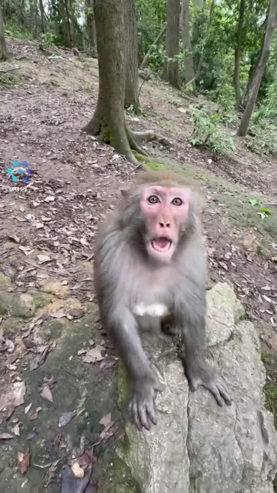 Video de @Vlăduțu