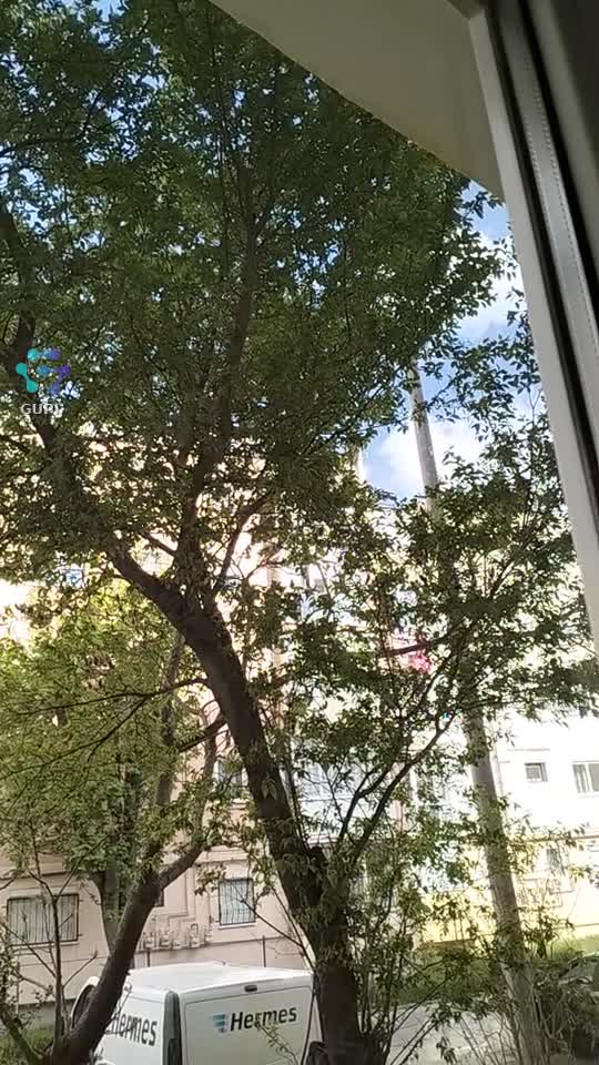 🍀🍀🍀🍀🍀🌞🌞🌞