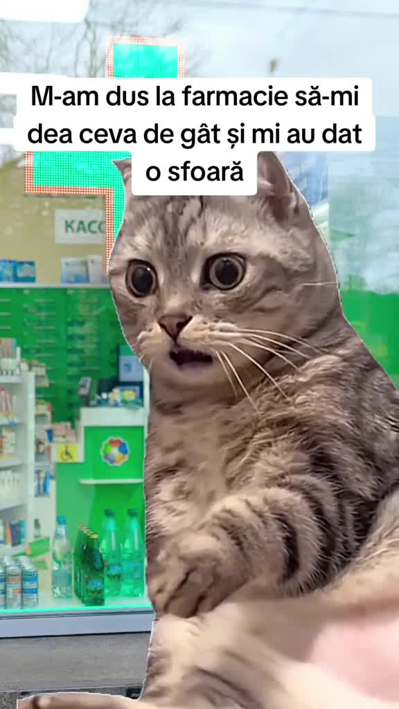 Sa înrăit lumea 🤣🤣🤣