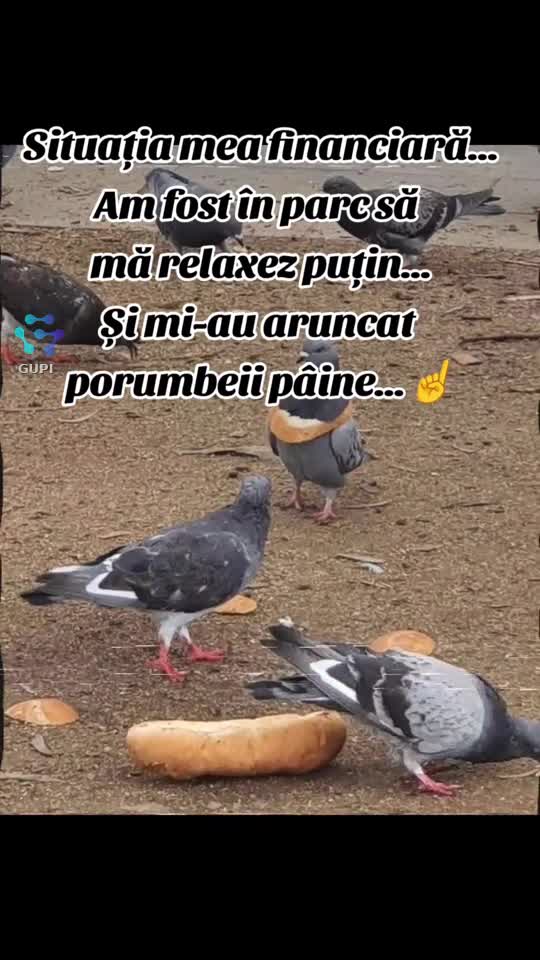 situația mea financiară...😁😁😁
