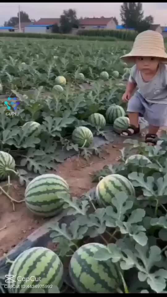 🤣🤣🤣