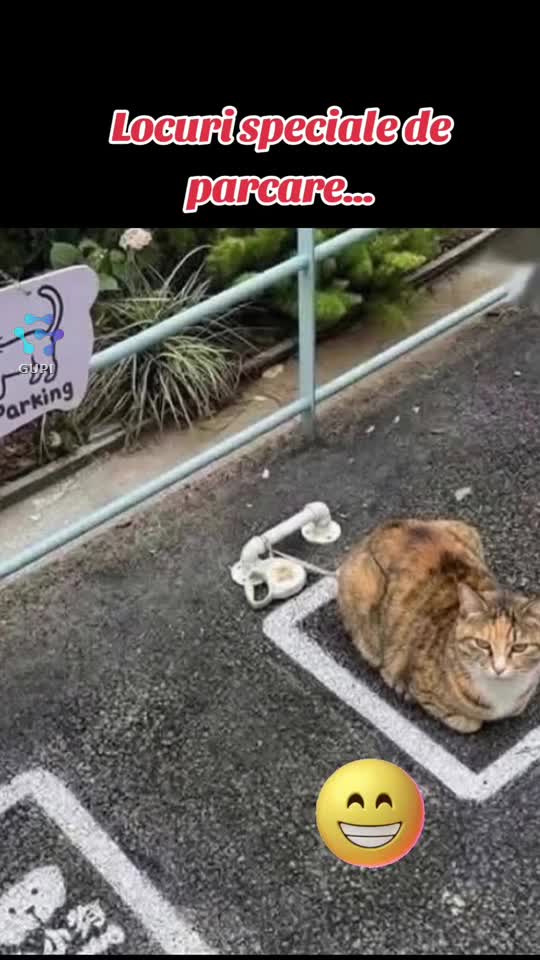 locuri speciale de parcare...😁😶😶