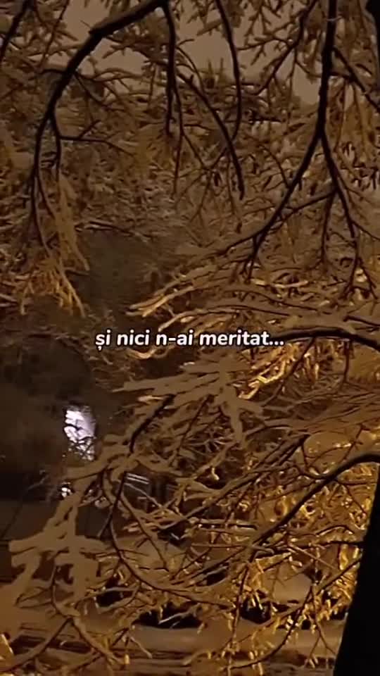 #🦋💙