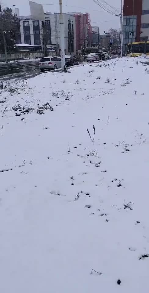 Ce frumos ninge😎Om Al Străzii 🤗