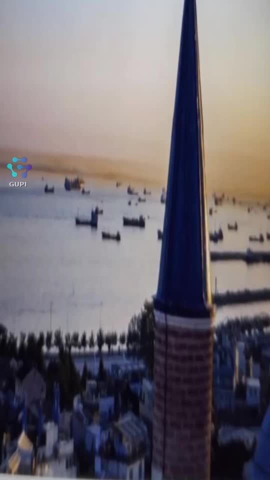 Video