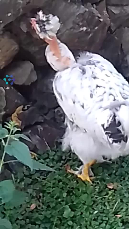🤗😘🥰🇷🇴🥰😘
