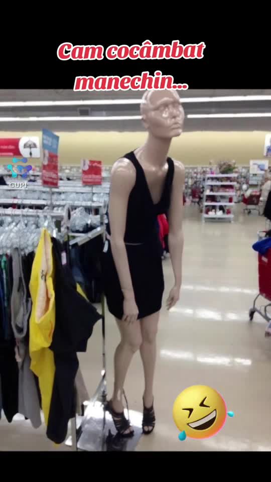 cocâmbat manechin...😁🤣🤣