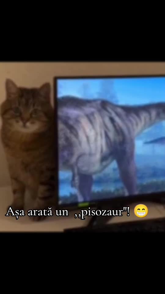#####😁😂😁##