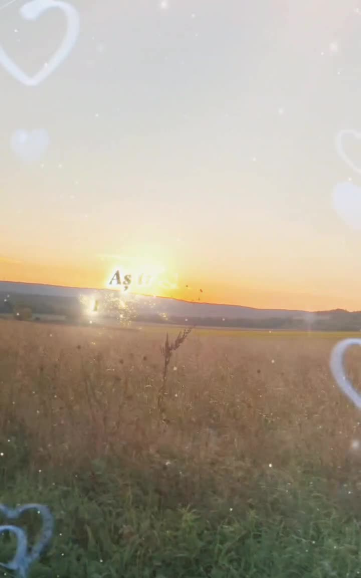 🦋 
 #❤️💙
