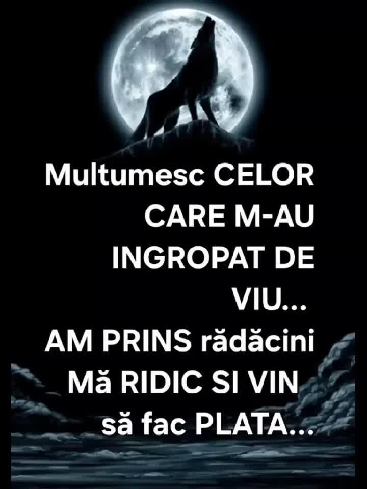 Nu rămân eu dator 😉