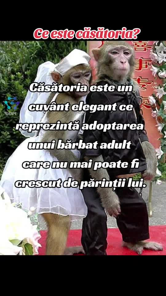 ce este căsătoria...😁😁😁