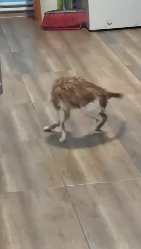 ❤️❤️