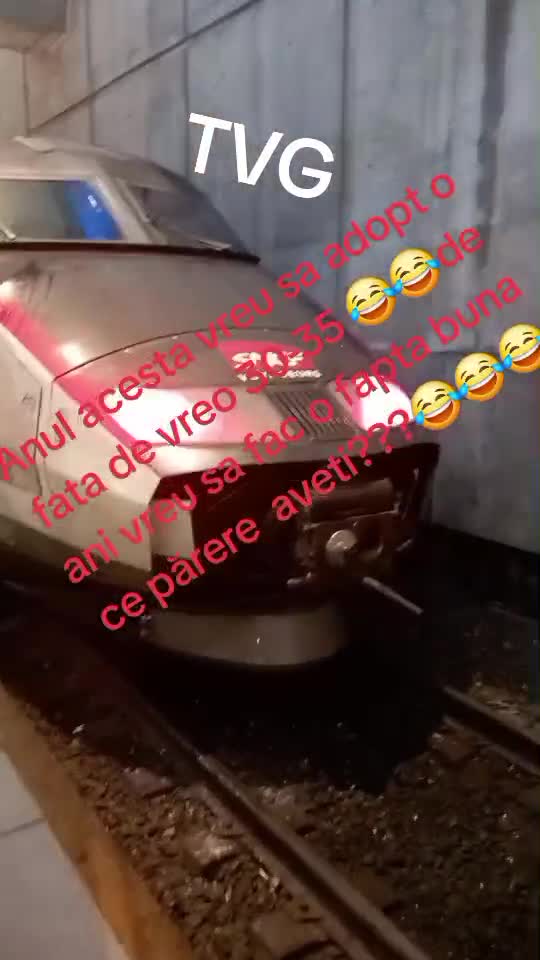 TVG