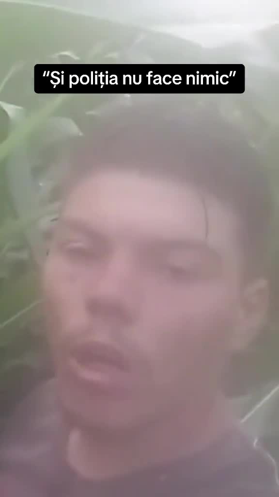 Nu vă faceți treaba deloc 🤣🤣🤣
