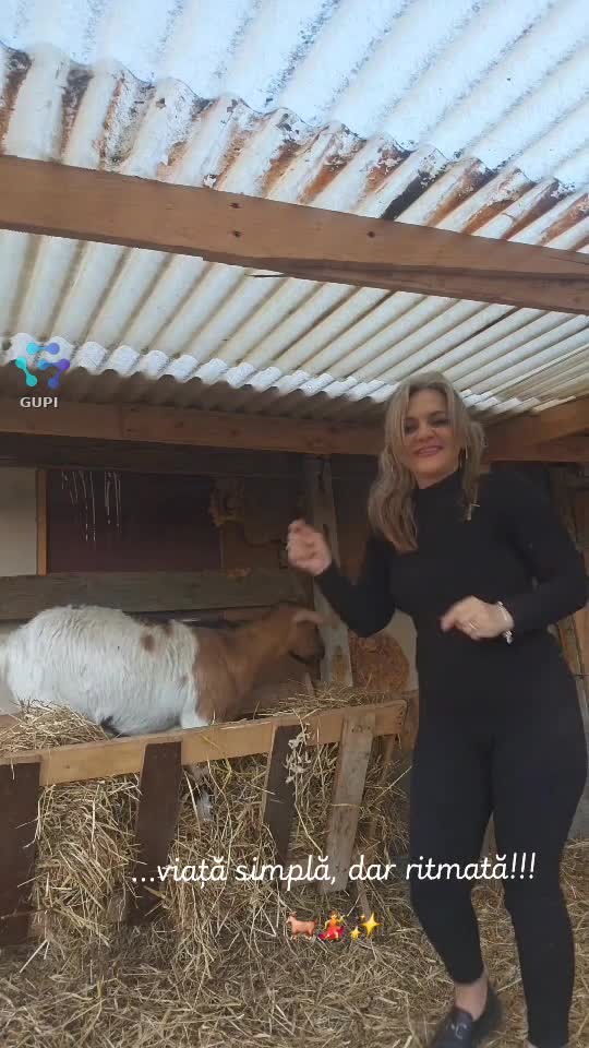 ...viață simplă, far ritmată😜 dansez printre bimbuztele mele!!!🐐💃🎶