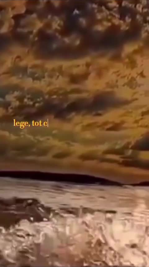 #🦋💙